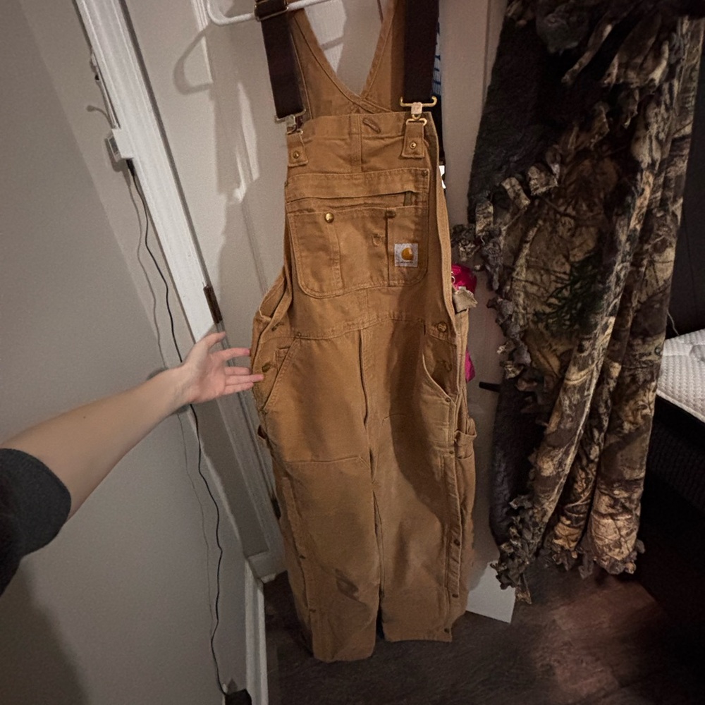 mens carhartt insulated bibs